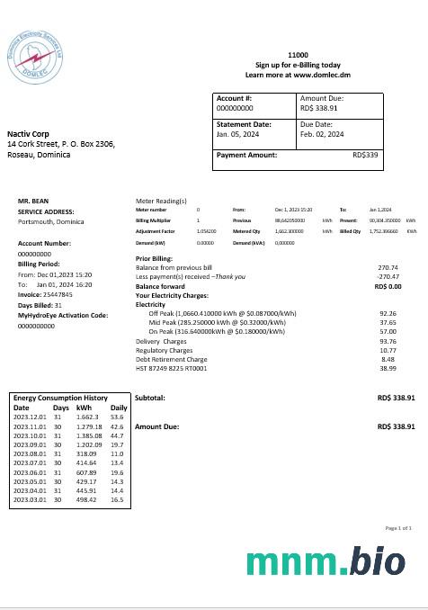 Dominica Electricity Services Limited electricity rachunek za usługi komunalne formaty word i pdf